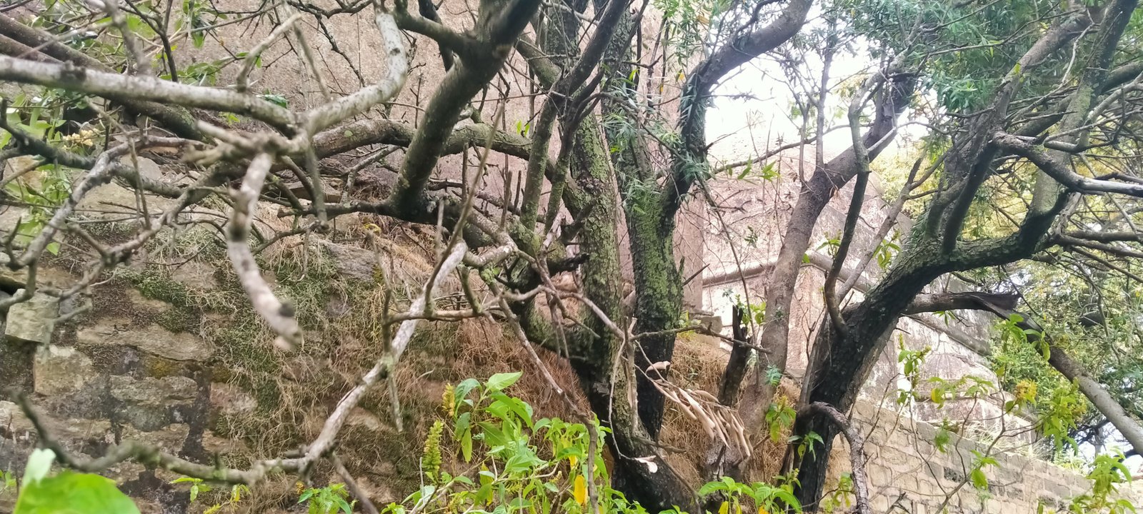 Travel Photo